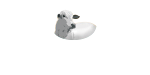 Santo Ernani