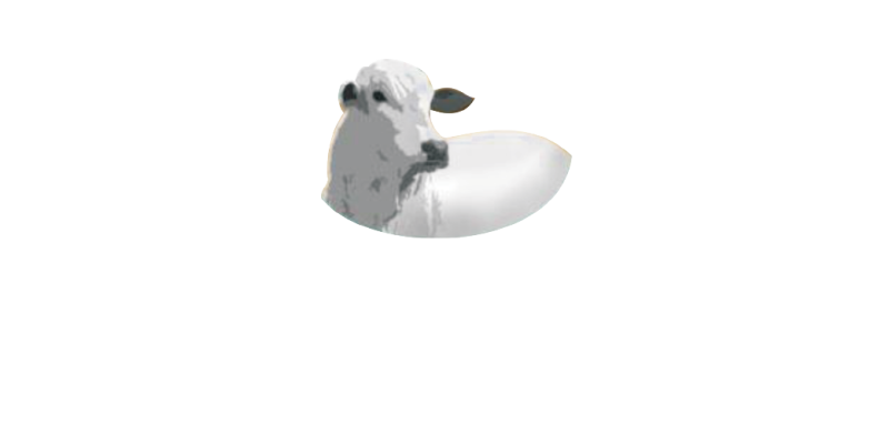 Santo Ernani